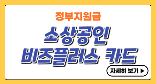 소상공인-비즈플러스카드