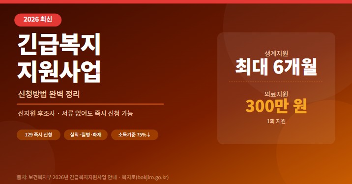 긴급복지-지원사업