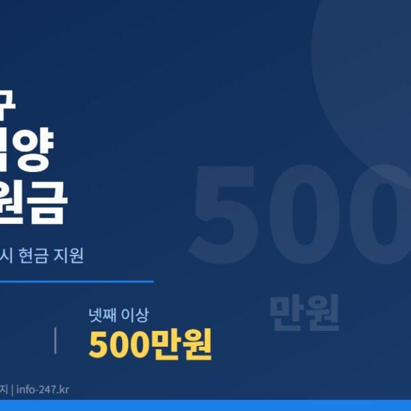 계양구 출산 입양 장려지원금