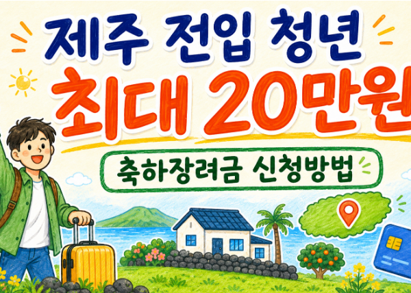 제주 청년 전입