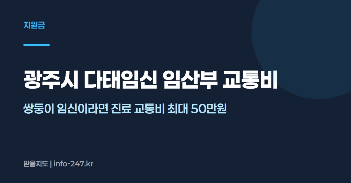 광주시 다태임신 임산부 교통비: 쌍둥이 임신이라면 진료 교통비 최대 50만원