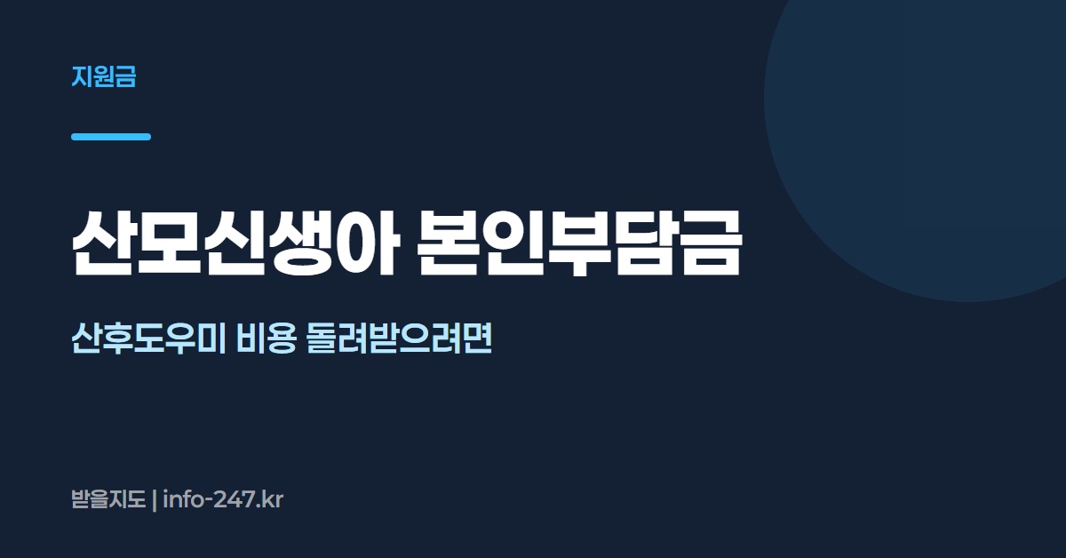 산모신생아 본인부담금: 산후도우미 비용 돌려받으려면